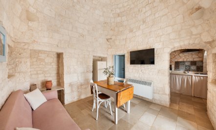 Olives & Countryside 9