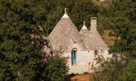 Olives & Countryside 4