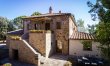 Tuscany in Bloom 1
