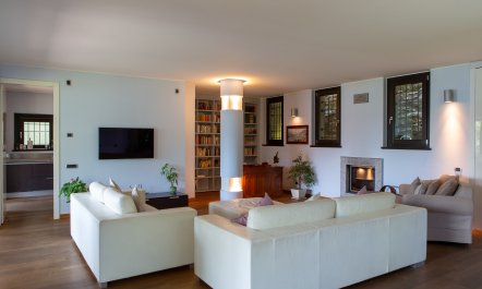 Olive & Pomegranate 2