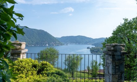 Olive & Pomegranate 1