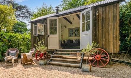 The Sussex Sanctuary 2