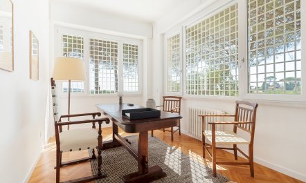 The Old Cherry Tree 2