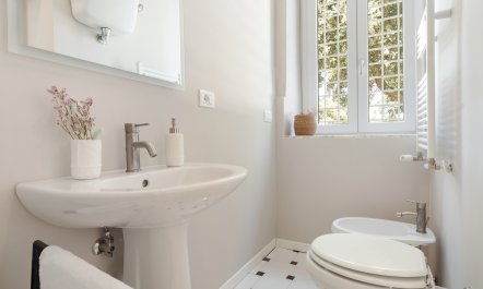 The Old Cherry Tree 6