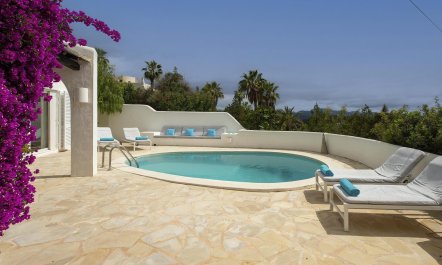 Bougainvillea Heaven 3