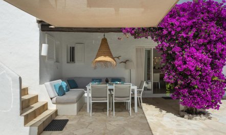 Bougainvillea Heaven 1