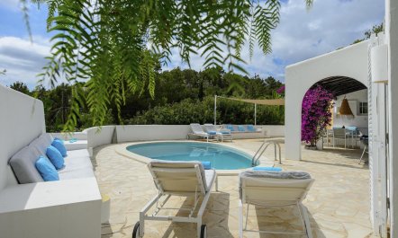 Bougainvillea Heaven 2