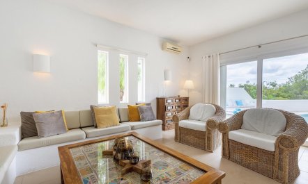 Bougainvillea Heaven 4