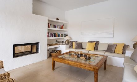 Bougainvillea Heaven 6