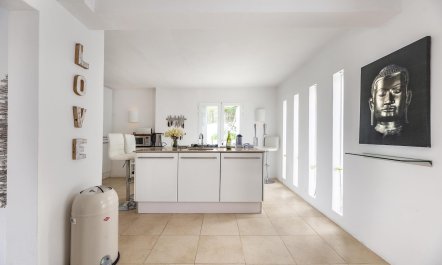 Bougainvillea Heaven 9