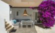 Bougainvillea Heaven 1