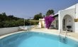 Bougainvillea Heaven 0