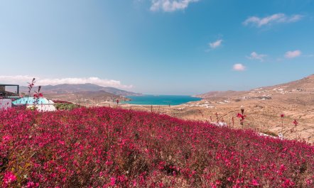 Aegean Luxury 9