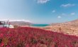 Aegean Luxury 9