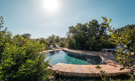 The Apulian Forest 1