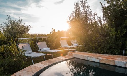 The Apulian Forest 2