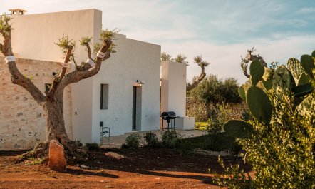 The Apulian Forest 7