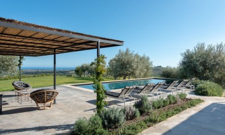 Sicilian Olives 3