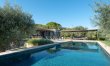 Sicilian Olives 0