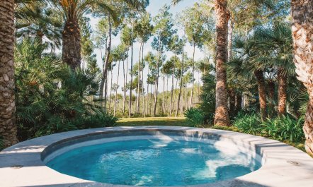 Ibizan Idyll 7