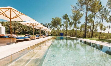 Ibizan Idyll 4