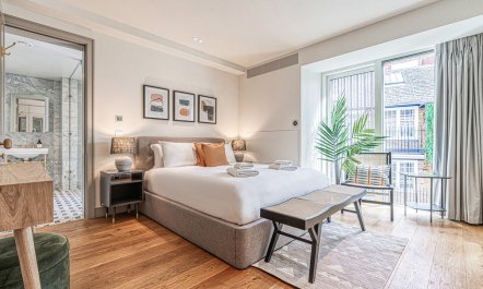 The British Ambassador 6