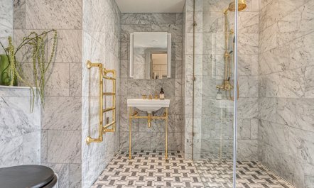 The British Ambassador 8