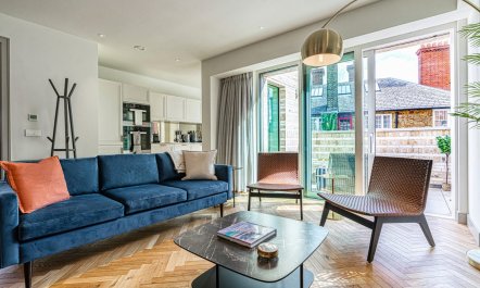 The British Ambassador