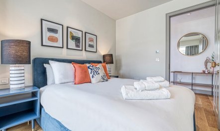 The British Ambassador 9