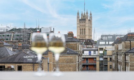 The British Ambassador 1