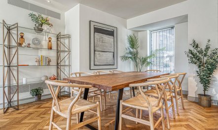 The British Ambassador 4