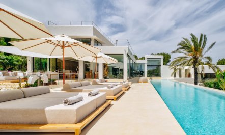 Promise of Palms 3