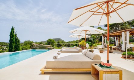 Promise of Palms 4