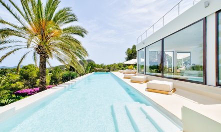 Promise of Palms