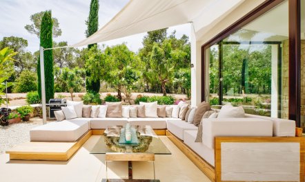 Promise of Palms 5