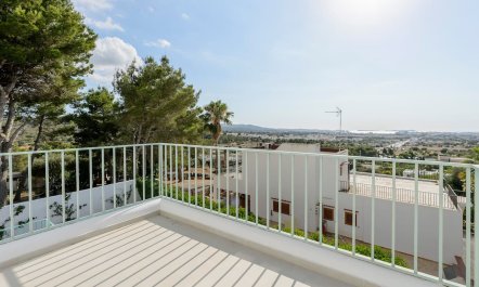 Ibiza's Delight 3