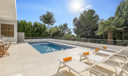 Sun-Drenched Dreamtime 4