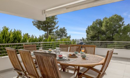 Sun-Drenched Dreamtime 9