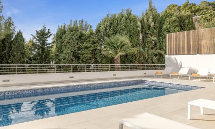 Sun-Drenched Dreamtime 5