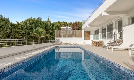 Sun-Drenched Dreamtime 3