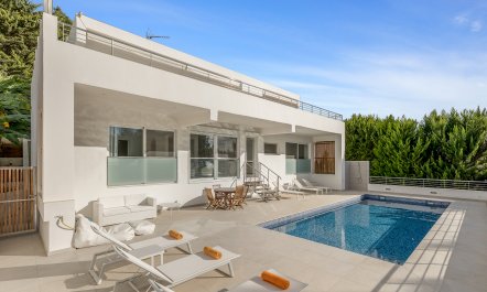 Sun-Drenched Dreamtime 2