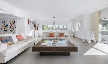 Sun-Drenched Dreamtime 1