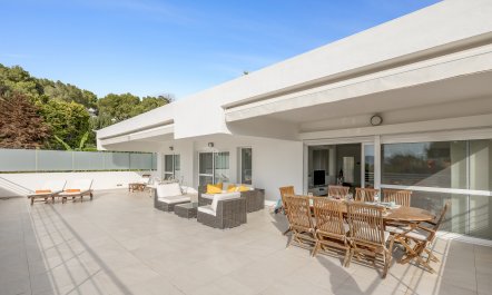 Sun-Drenched Dreamtime 8