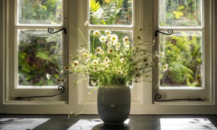 The Fairy Children 7