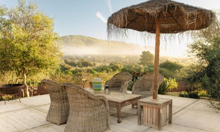 Shimmering Sunlight 7