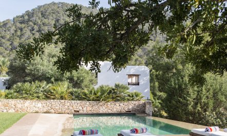 Pomegranates & Palms 4