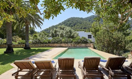 Pomegranates & Palms 3