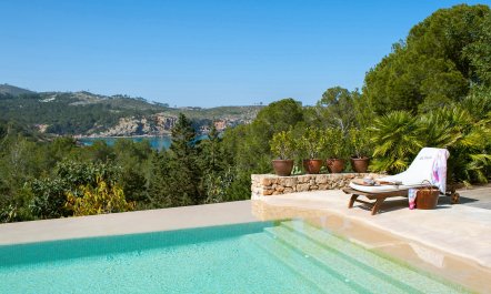 Pomegranates & Palms 1