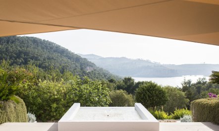 Pomegranates & Palms 7