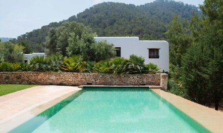 Pomegranates & Palms 2